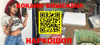 крисы Кингисепп