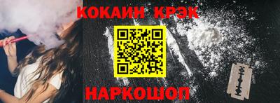крисы Кингисепп