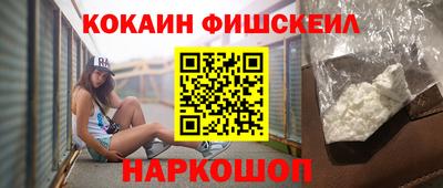 крисы Кингисепп