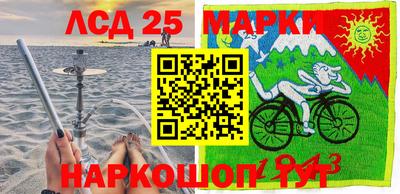крисы Кингисепп