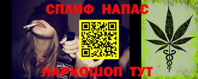 крисы Кингисепп