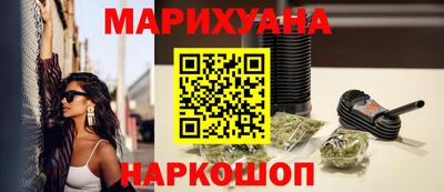 крисы Кингисепп